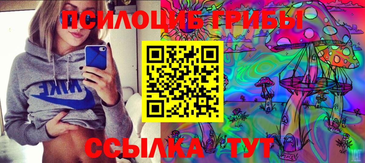 Псилоцибиновые грибы Psilocybine cubensis Чернушка