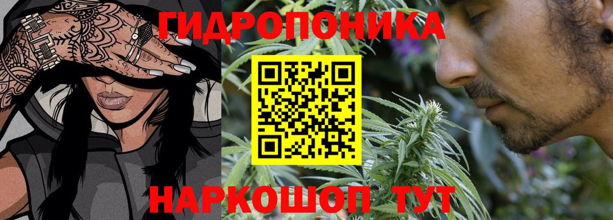 Конопля план  Вход с VPN  Бошки Шишки OG Kush  Чернушка 